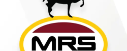MRS-Holdings-1.png